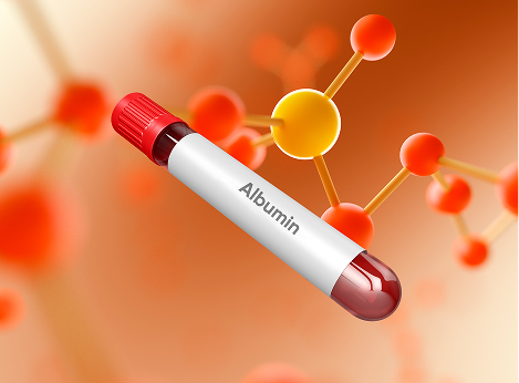 Albumin Là Gì? Vai Trò Quan Trọng Của Albumin Đối Với Cơ Thể